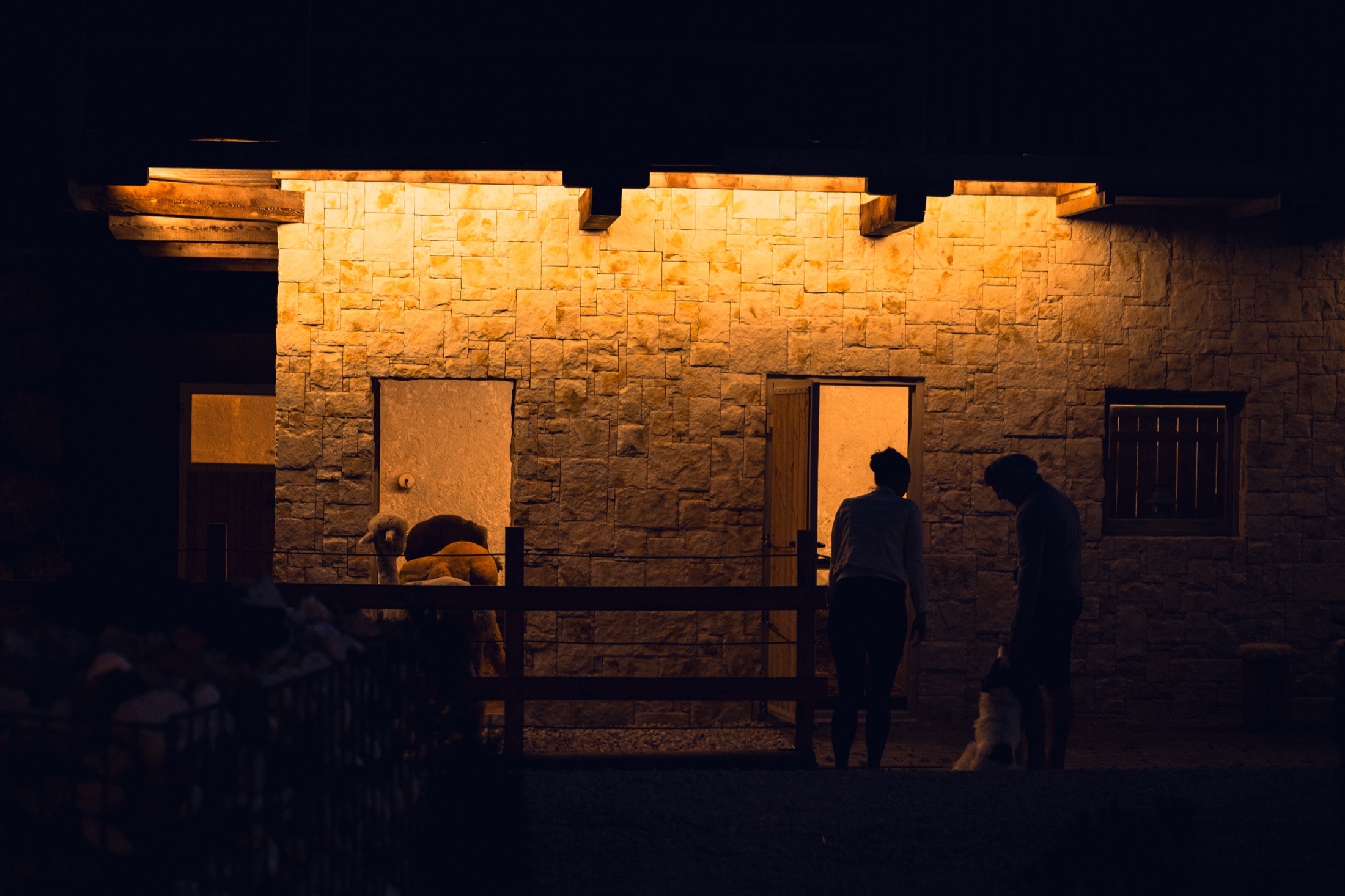 Stalla di Planat di notte, luce calda e quiete.