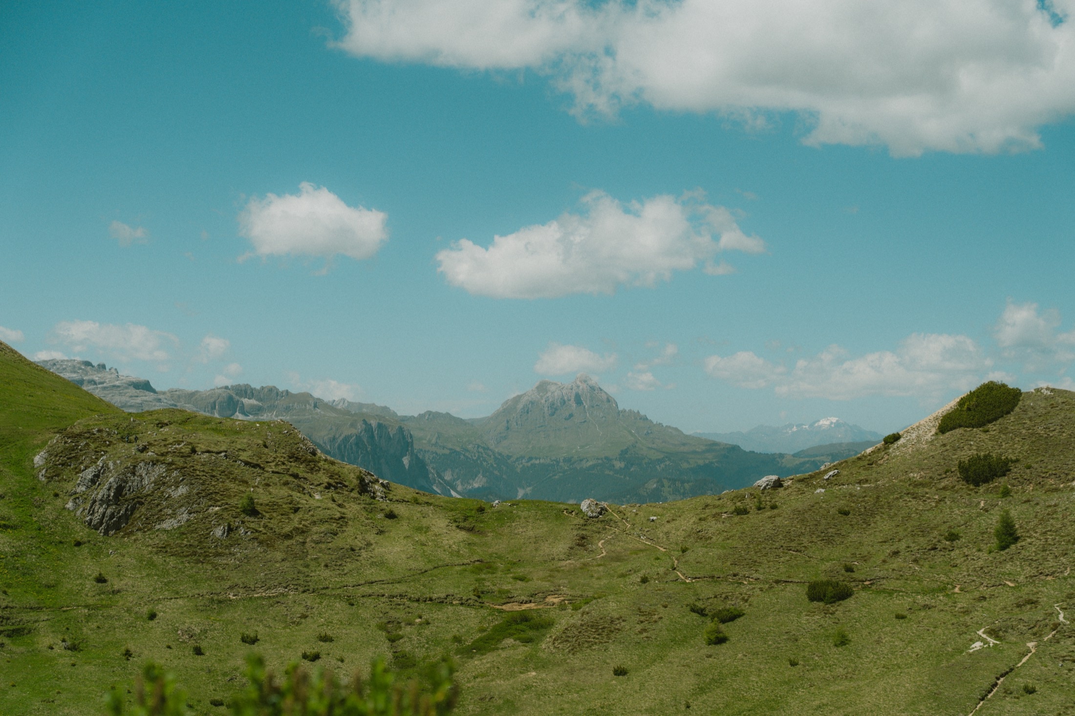 Prati estivi e una cima dolomitica sullo sfondo.